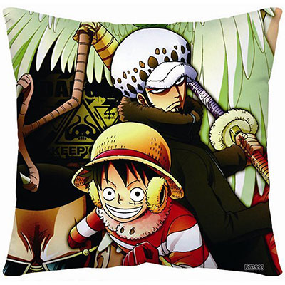 One Piece Pillow Case