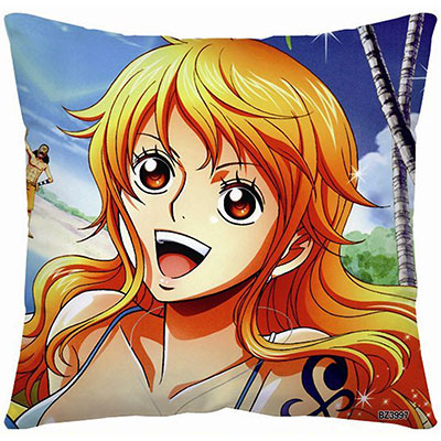 One Piece Pillow Case