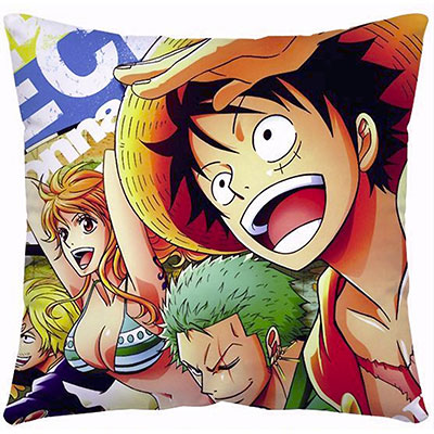 One Piece Pillow Case