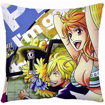 One Piece Pillow Case