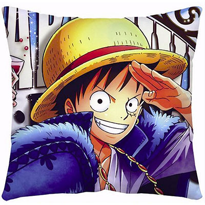 One Piece Pillow Case