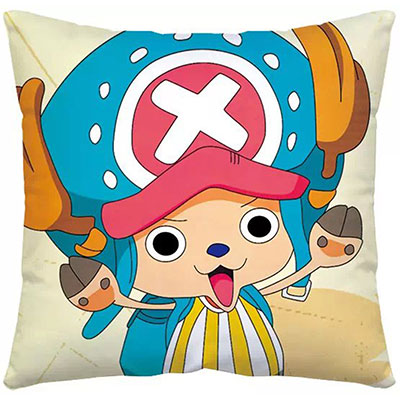 One Piece Pillow Case