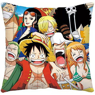 One Piece Pillow Case