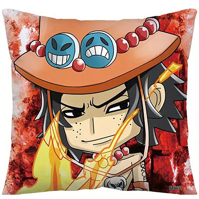 One Piece Pillow Case