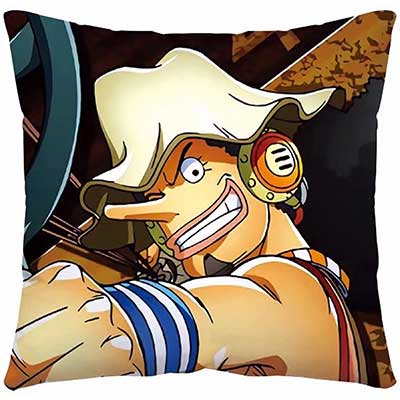 One Piece Pillow Case