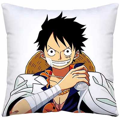 One Piece Pillow Case