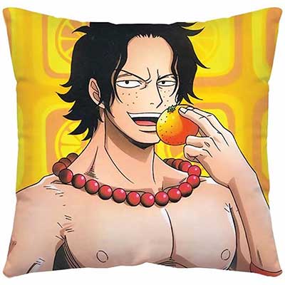 One Piece Pillow Case