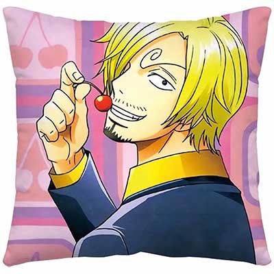 One Piece Pillow Case