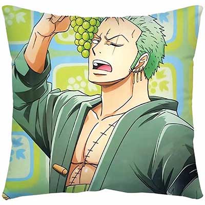 One Piece Pillow Case