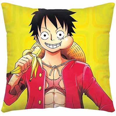 One Piece Pillow Case