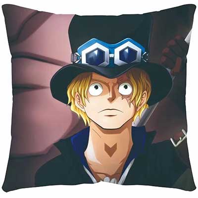 One Piece Pillow Case