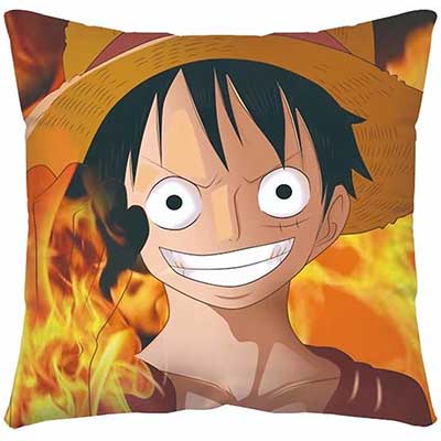 One Piece Pillow Case