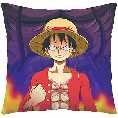 One Piece Pillow Case