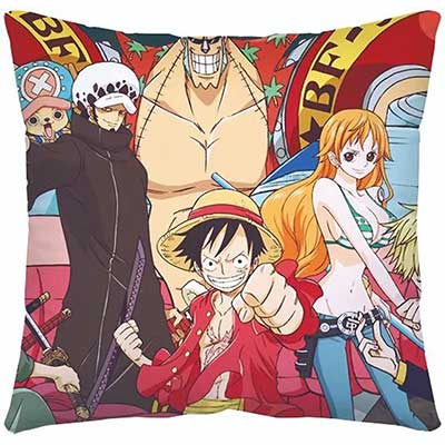 One Piece Pillow Case