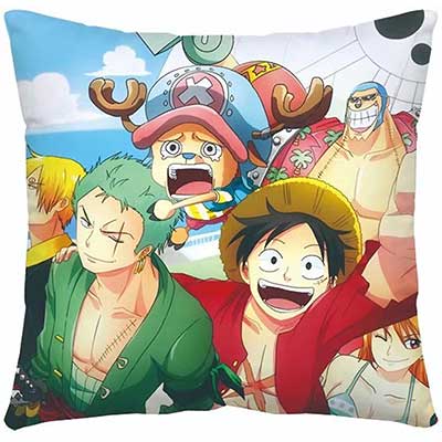 One Piece Pillow Case