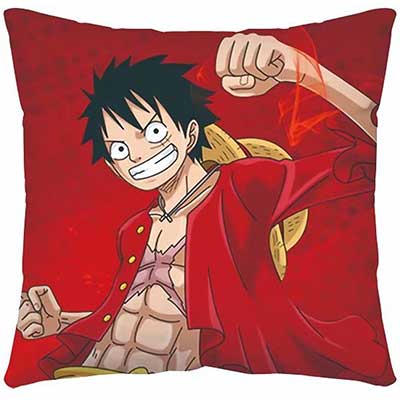 One Piece Pillow Case