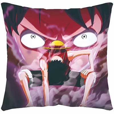 One Piece Pillow Case