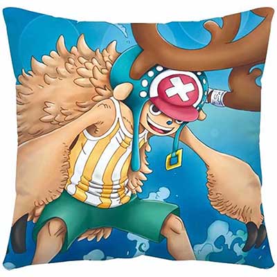 One Piece Pillow Case