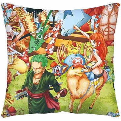 One Piece Pillow Case