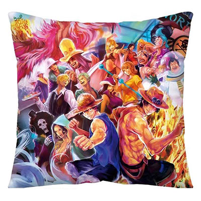 One Piece Pillow Case