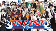 anime Bleach cosplay wear & collectibles!